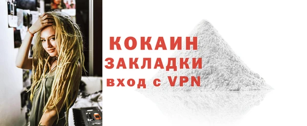 шишки Лабытнанги