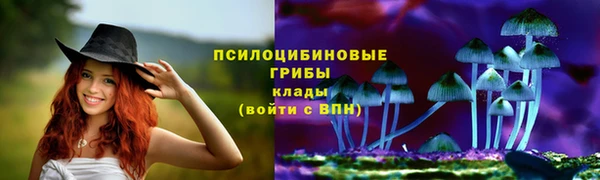 ПСИЛОЦИБИНОВЫЕ ГРИБЫ Ладушкин
