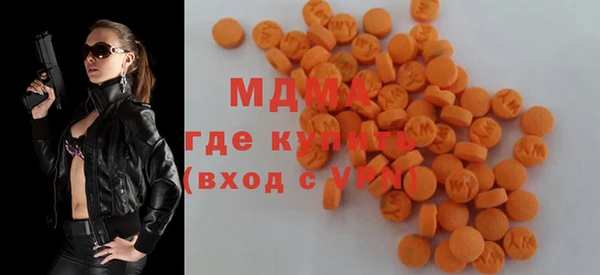шишки Лабытнанги
