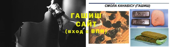 шишки Лабытнанги
