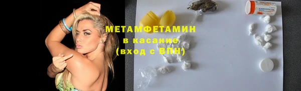 шишки Лабытнанги
