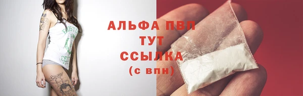 ПСИЛОЦИБИНОВЫЕ ГРИБЫ Ладушкин