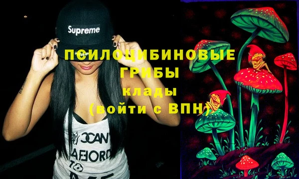 шишки Лабытнанги
