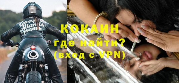 шишки Лабытнанги