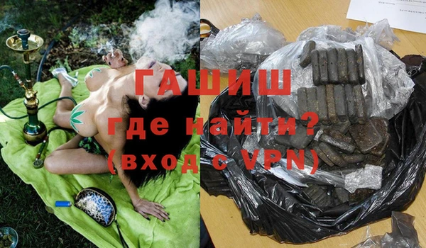 шишки Лабытнанги