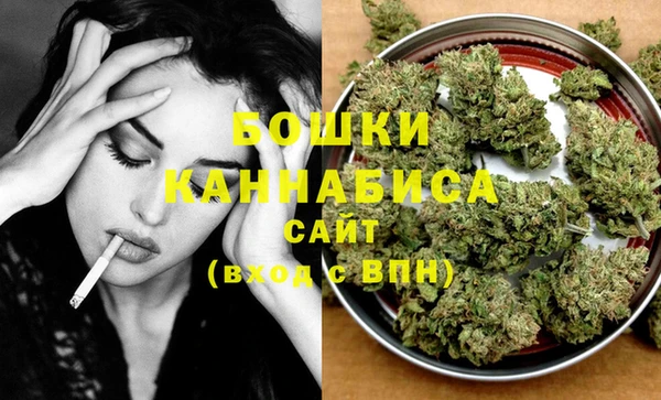 ПСИЛОЦИБИНОВЫЕ ГРИБЫ Ладушкин