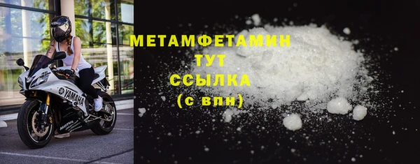 шишки Лабытнанги