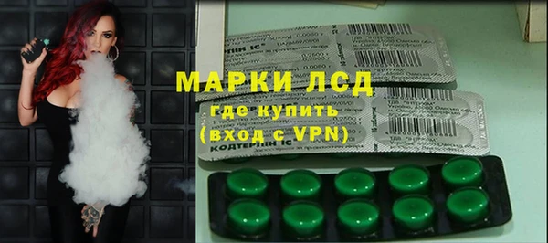 шишки Лабытнанги