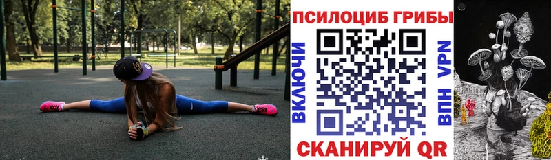 mega зеркало  Сысерть  Галлюциногенные грибы Psilocybine cubensis 